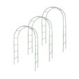 Lot de 3 arches de jardin métallique pour plantes grimpantes - Arceau rosiers grimpants - Résistant aux intempéries-0