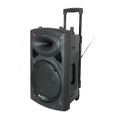 Sono portable + 2 micros Ibiza Sound PORT15 - 800W-0