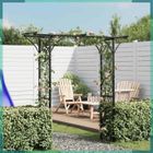 ASHATA Arche de jardin 200x52x204 cm -FHE40778