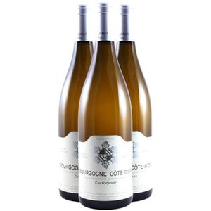 VIN BLANC Bourgogne Côte-d'Or Blanc 2020 - Lot de 3x75cl - D