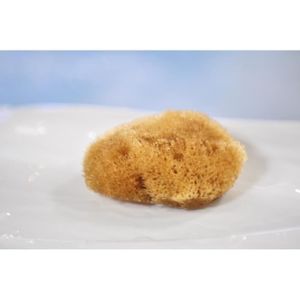GANT GOMMAGE - MASSAGE Eponge de Mer Naturelle Silk/Soie - Taille 10 cm