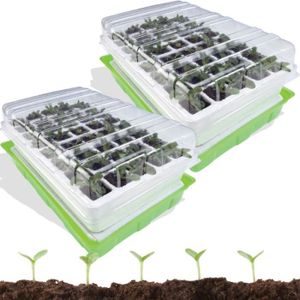 GRAINE - SEMENCE Kit de germination 40 godets - ID MARKET - Lot de 