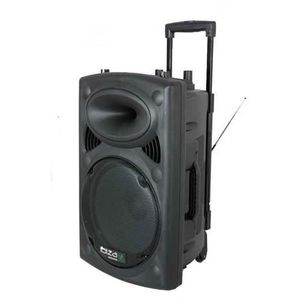 PACK SONO Sono portable + 2 micros Ibiza Sound PORT15 - 800W