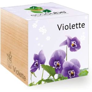 KIT DE CULTURE Ecocube Violette, Idée Cadeau (100% Ecologique), G