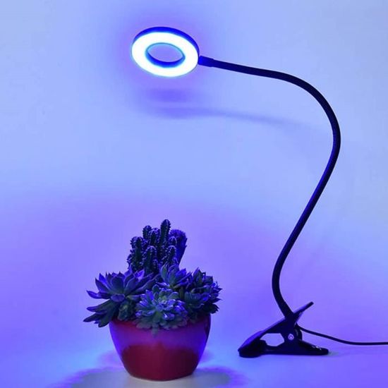 Lampe De Croissance Des Plantes : N'importe Quelle Lampe LED Peut-elle – Medic Grow EU
