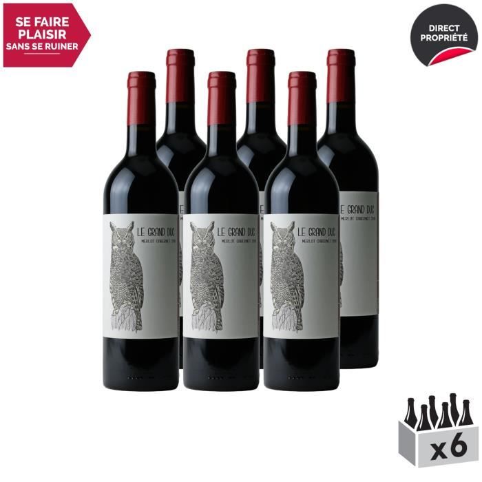 Vin de France - Origine Sud-Ouest Le Grand Duc Rouge 2018 - Lot de 6x75cl - Les Frères Moine - Vin VDF Rouge du Sud-Ouest - Cépages