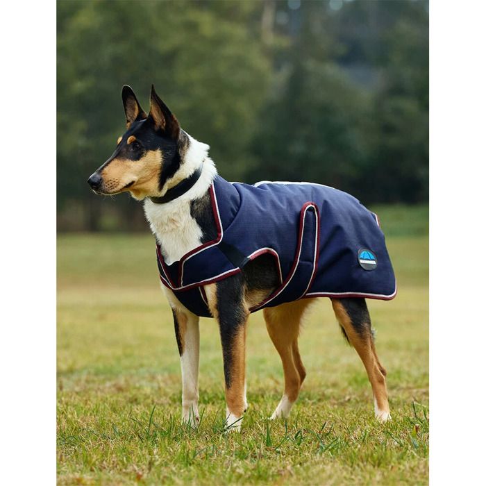 Meilleurs prix pour Manteau pour chien Weatherbeeta Comfitec Premier Deluxe - Bleu - 80 cm