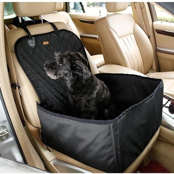 Choisir une housse protection voiture pour chiens