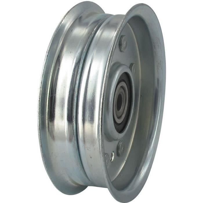 Poulie AYP 105313x