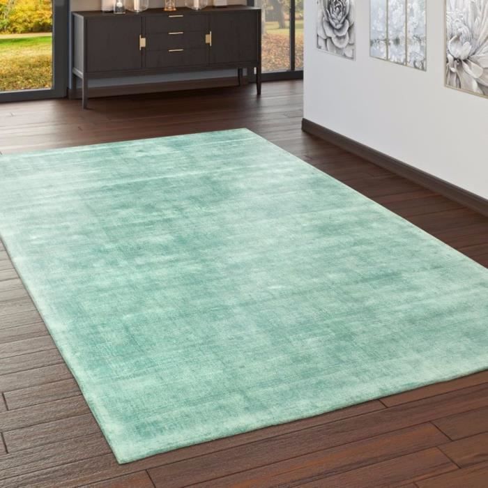 Tapis Fait Main Haut De Gamme 100 Viscose Vintage Tendance Couleur Pastel Vert 200x300 Cm Achat Vente Tapis Cdiscount