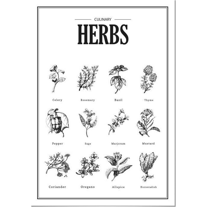 Les herbes aromatiques d'Editors Choice en poster, tableau sur toile et  plus