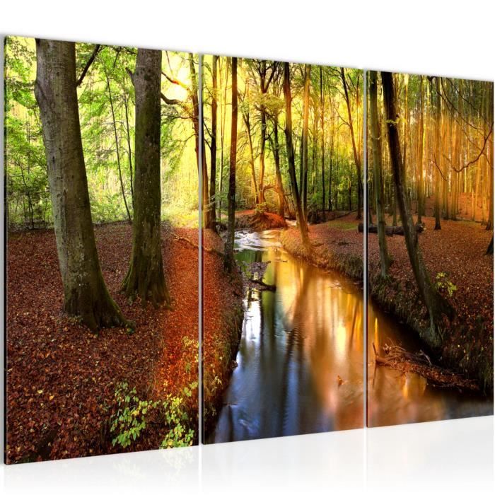 Tableau Decoration Murale Foret 120 X 80 Cm Xxl Impression Sur Toile Salon Appartment Orange Pret A Accrocher 602331a Achat Vente Tableau Toile Cdiscount