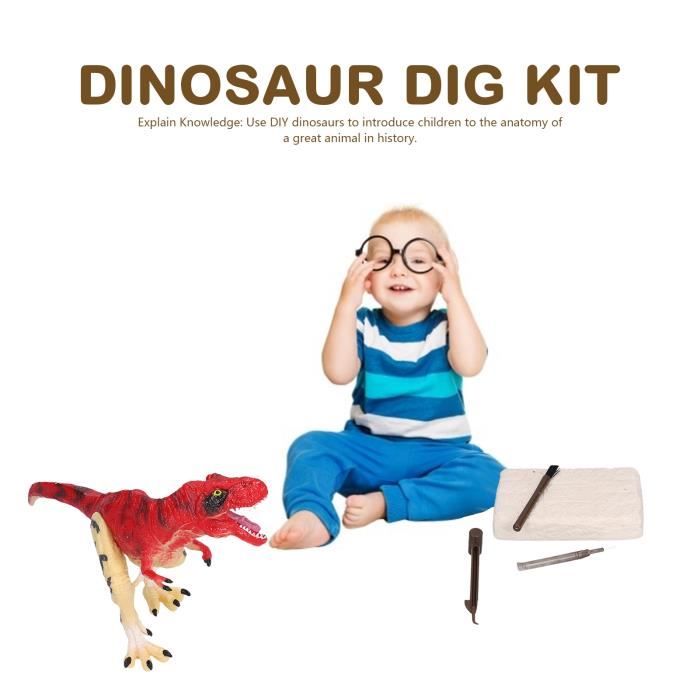 Acheter Kit de jeu de fouille de dinosaures Sagit Ensemble d