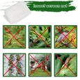 Tubiaz Filet à légumes insectes légumes mouches outil filet de protection 3x10M FILET DE PROTECTION ANTI-OISEAUX-2