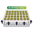 Kit de germination 40 godets - ID MARKET - Lot de 2 - Assortiment de graines - Bac et pot - Aromatique-3