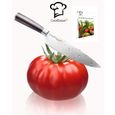 graine de tomate MARMANDE légume BIO + livre gratuit 15 graines de tomates certifié permaculture CookToque®-0