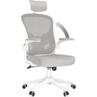 BIGZZIA Fauteuil de bureau Ergonomique, avec 2D Accoudoirs et Appui-tête, Soutien Lombaire Dossier Règalable, 50 x 64 x (120-134)cm, Gris