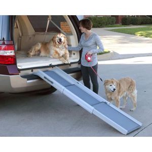 Rampe téléscopique 3 parties : Accessoire de voiture pour chien - Wanimo