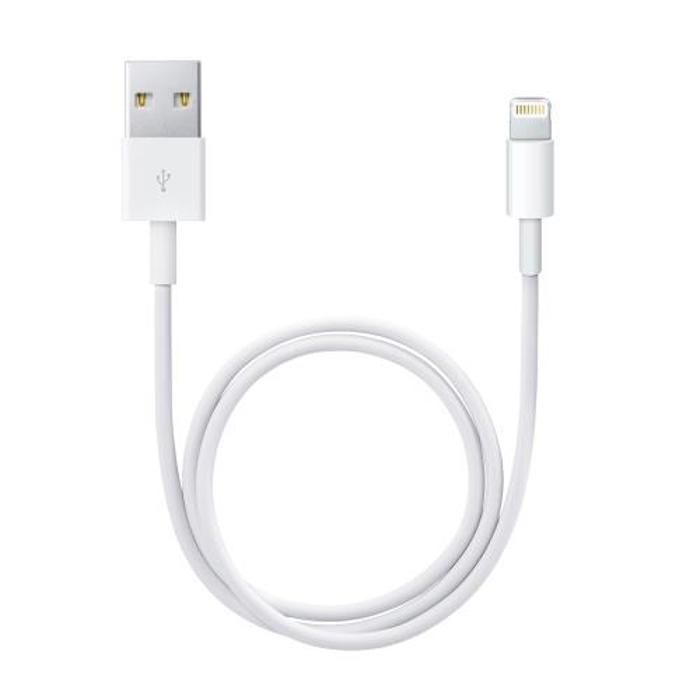 Apple Câble Lightning vers USB (0,5 m)