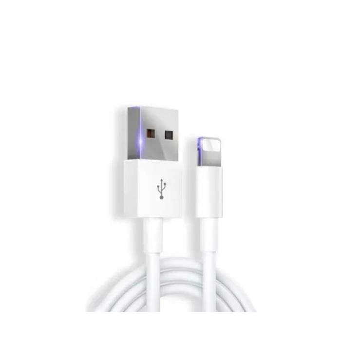 Chargeur iPhone Renforcé à Charge Rapide pour iPhone et iPad 1 mètre Blanc