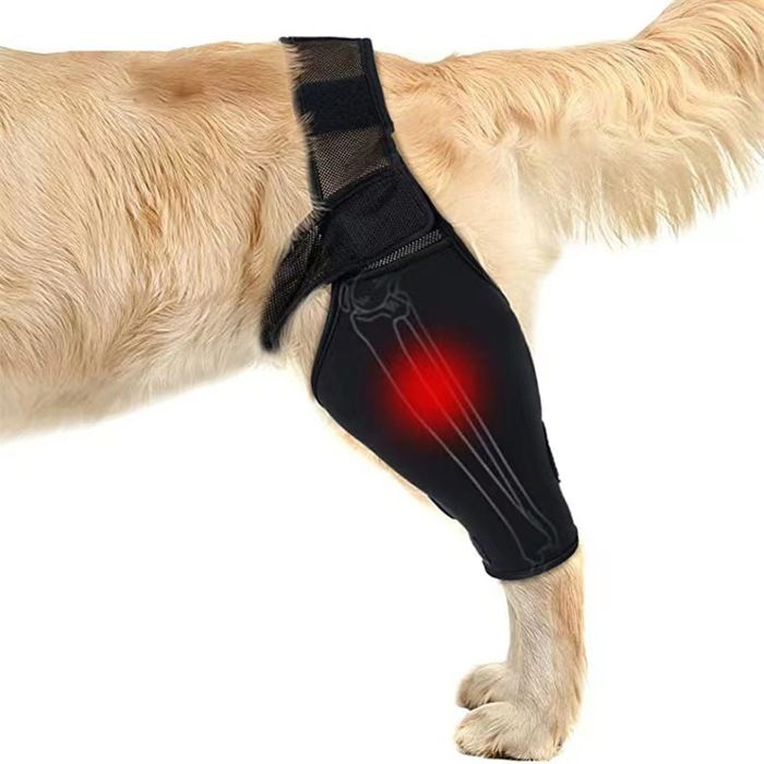 Meilleurs prix pour Attelle de jambe arrière pour chien INF pour la restauration des fractures, attelle de genou respirante S