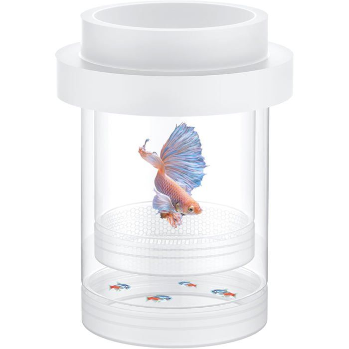 Meilleurs prix pour Boîte délevage pour Aquarium boîte de Reproduction Flottante pour guppys séparateur pour alevins incubateur en Plastique