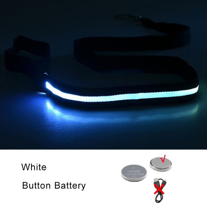 Laisse pour chien lumineuse à LED - Phoesky - 120x2 5 cm - Sangle en nylon - LED clignotante - Étanche - Piles CR2032