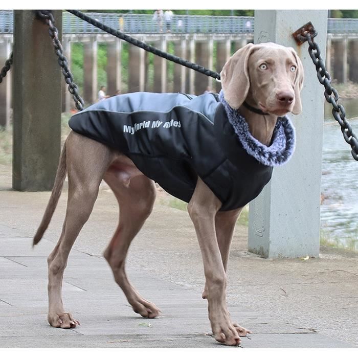 Manteau Imperm able pour Chien Veste Chaude d hiver Coupevent