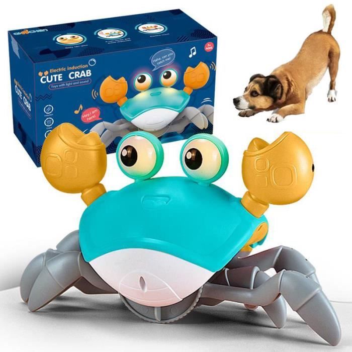 Comparer les prix de JOUET Jouet intelligent en forme de crabe pour animaux de compagnie Rechargeable électrique interactif pour chiot petit moyen et