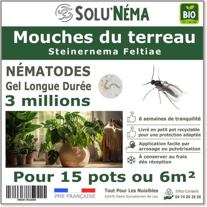 SOLUNEMA - Nématodes SF - Mouches des Terreaux - 3 millions pour 12 à 15 pots soit environ 3m²