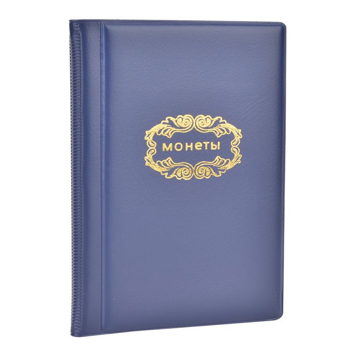 CLASSEUR POUR COLLECTION 120Pièces en PVC Album Porte-Monnaie Rangement