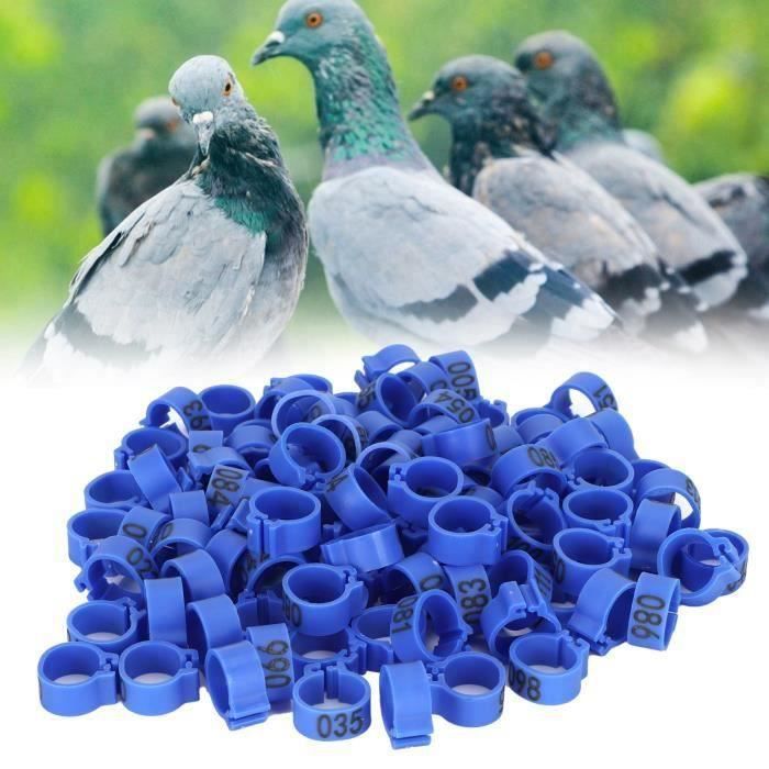 Lot De 30 Anneaux De Pattes En Plastique Pour Pigeons - Bagues D'Identification Multicolores 5 Mm