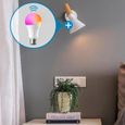 Ampoule Intelligente LED Multicolore Connectée WiFi - iFEEL Globe E27 - Lampe Couleur Dimmable - Compatible Alexa et Google Home-2