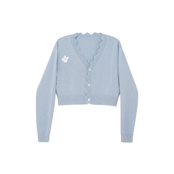 Pull et best sale gilet assortis femme