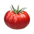 graine de tomate MARMANDE légume BIO + livre gratuit 15 graines de tomates certifié permaculture CookToque®-3