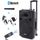 Enceinte amplifiee portable
