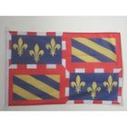 AZ FLAG Pavillon nautique Bourgogne 45x30cm - bourguignon - France - Drapeau marin