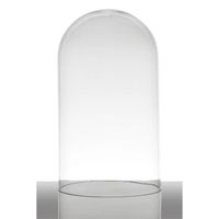 INNA-Glas Cloche de Verre Adelina, Cylindre - Ronde, Transparent, 28cm, Ø 16,5cm - Bocal à Bonbons - Récipient en Verre
