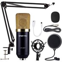 ZINGYOU Microphone à Condensateur, ZY-007 Micro à Condensateur de Studio Cardioïde Professionnel avec Suspension Bras pour