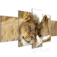 Runa art Tableau Décoration Murale Lions Amour 150x75 cm - 5 Panneaux Deco Toile Prêt à Accrocher 002153a