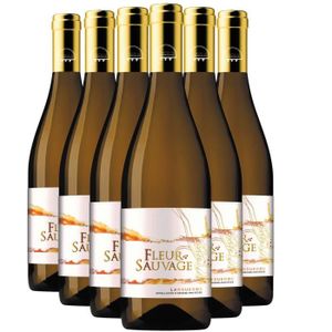 VIN BLANC Languedoc Sommières Fleur Sauvage Blanc 2020 - Bio