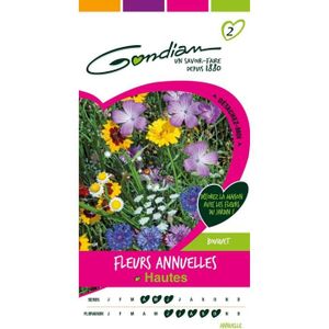 GRAINE - SEMENCE Semences Fleurs Annuelles Hautes Multicolore 1 X 8,1 X 16 Cm[m162]
