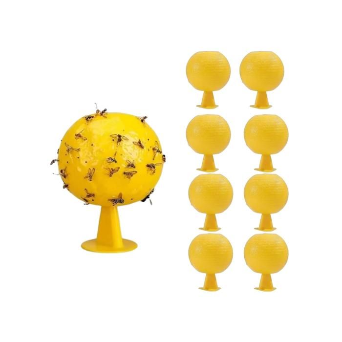 Mouche Trap Lot De 8 Pièges à Mouches De Fruits Jaunes Boules D'insectes Collantes, Naturel Et écologique Piège à Mouches De Fruits, Fourmis, Moustiques Et Araignées Tue Mouche Fenetre Mouche Trap Lot De 8 Pièges à Mouches De Fruits Jaunes Boules D'insectes Collantes, Naturel Et écologique Piège à Mouches De Fruits, Fourmis, Moustiques Et Araignées Tue Mouche Fenetre