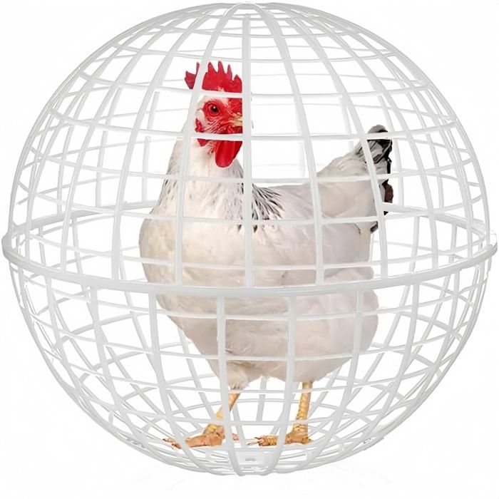 Meilleurs prix pour A Cages sphériques pour volailles Poulailler sphérique mobile en plastique de 30 cm de diamètre adapté aux fermes en plein air.
