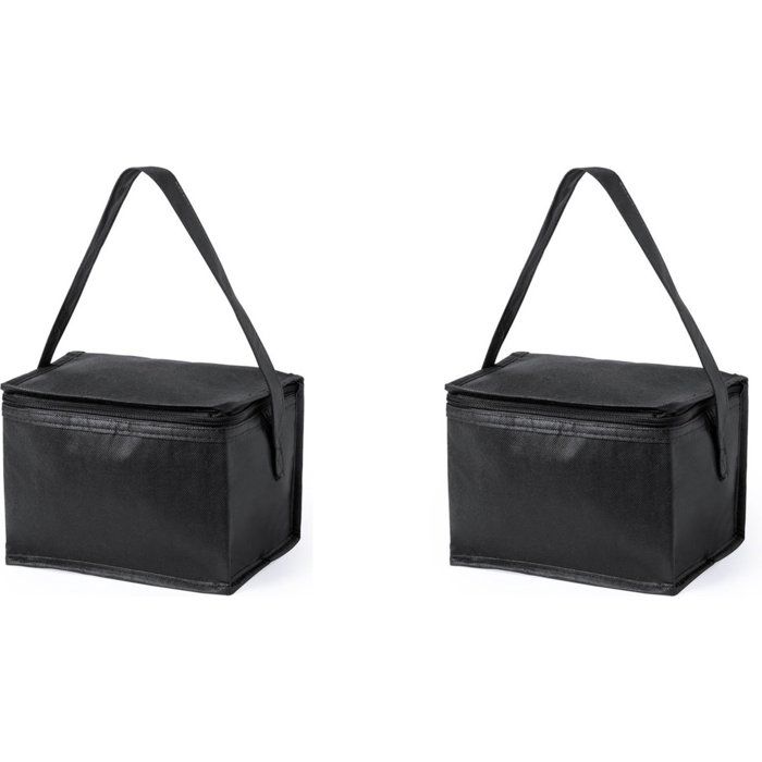 Sac isotherme - GRANDSALEY - Petit format - Lot de 2 - Capacité 4 L - Poignée de transport