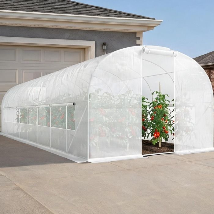 Serre de jardin tunnel 24 m² avec cadre en acier galvanisé et bâche PE haute densité