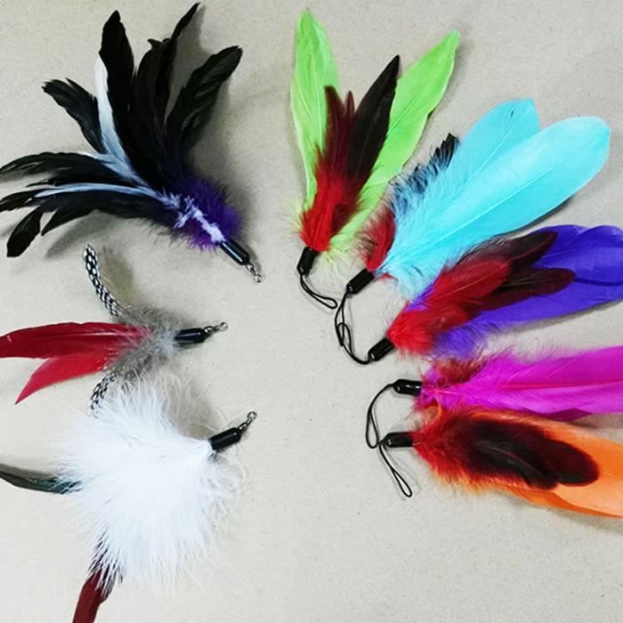 Jouet Pour Chat Jouet Plume Pour Chat Jouet Interactif Pour Chat Interaction Avec Chat Chien Animal De Compagnie Cdiscount Jouet Pour Chat Jouet Plume Pour Chat Jouet Interactif Pour Chat Interaction Avec Chat Chien Animal De Compagnie Cdiscount
