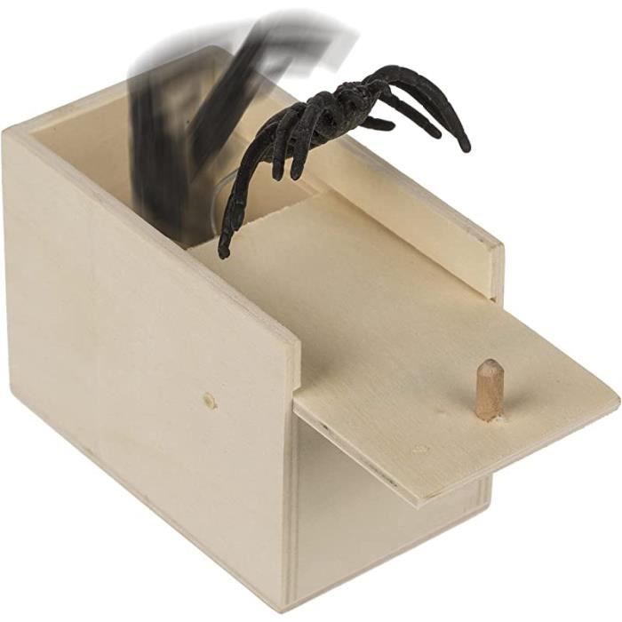 Boîte En Bois Pour Farces Et Araignées Cachée Dans Un Étui Jeu De