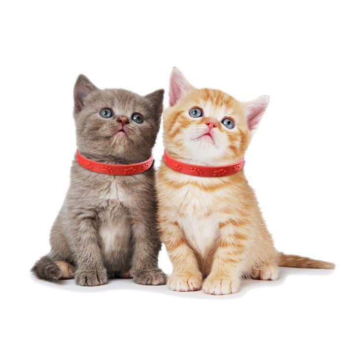 Meilleurs prix pour Collier anti-puces pour chat - FAFEICY - 3 pièces - Rouge - Silicone souple