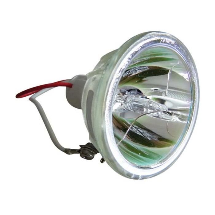 Lampe Projecteur A1/216 24V 150W - Capsule Halogène, Culot G6.35, Compatible Voigtlander VP135